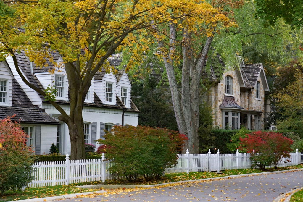 Trimming A Tree Along A Property Line – What Property Owners Should ...